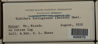 Image Associated With the Occurence
